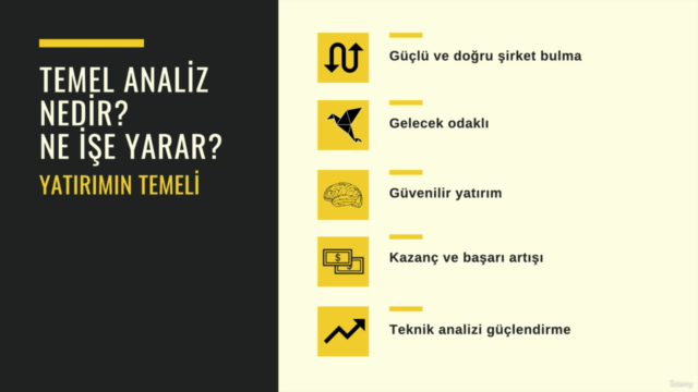 Borsaya Giriş ve Temel Analiz Eğitimi – Screenshot 2