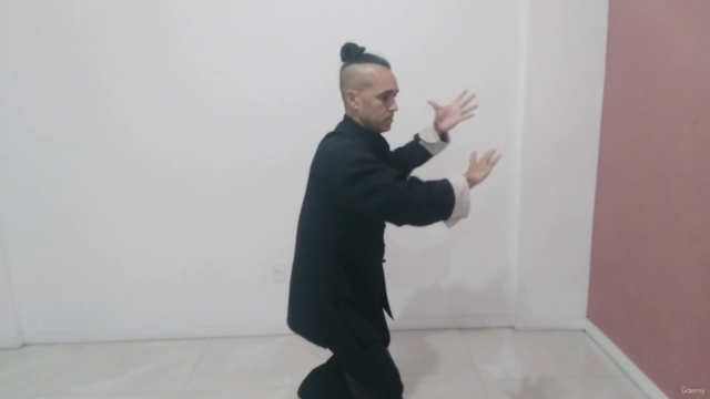 Curso Tai Chi Chuan e Chi Kung (QiGong) – Screenshot 4