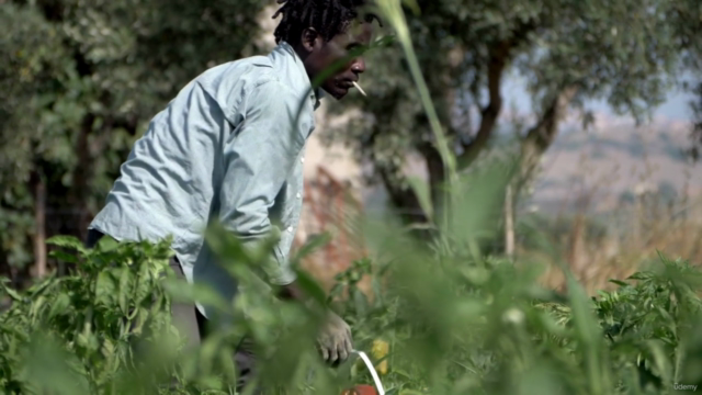 An International Security Series: Migration – Screenshot 1