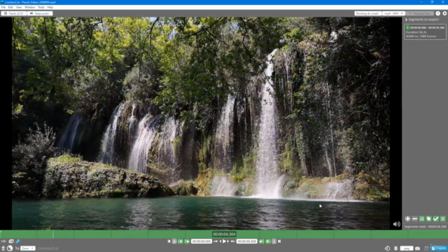 Learning LosslessCut from Scratch – Screenshot 1