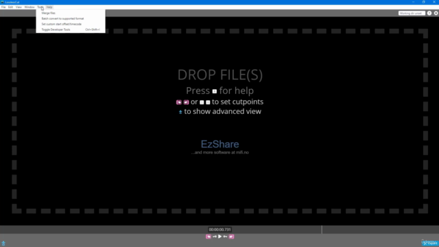 Learning LosslessCut from Scratch – Screenshot 2