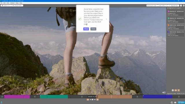 Learning LosslessCut from Scratch – Screenshot 3