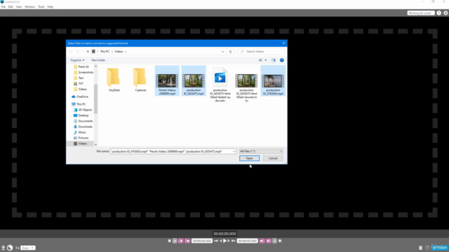 Learning LosslessCut from Scratch – Screenshot 4