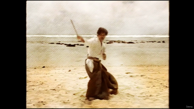 The Ryukyu Kobujutsu | Hokama Kobudo – Screenshot 1