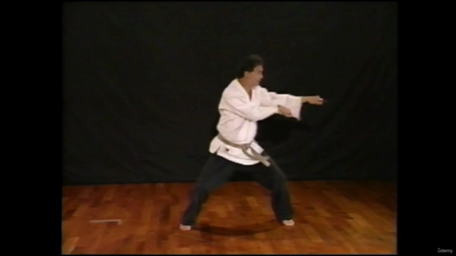 The Ryukyu Kobujutsu | Hokama Kobudo – Screenshot 3