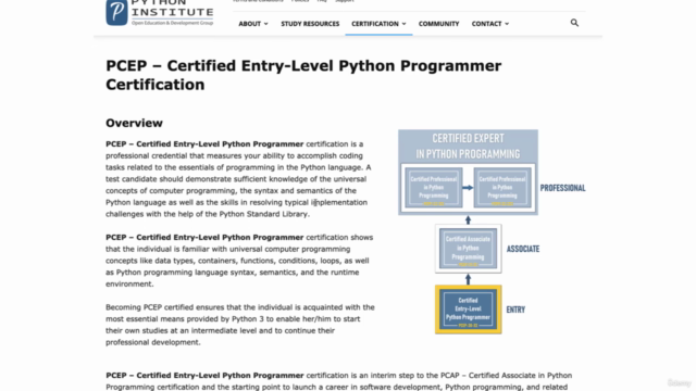 Python Basics Course – Screenshot 4