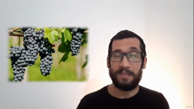 Sommelier Online - Orientações para degustação de vinhos – Screenshot 2