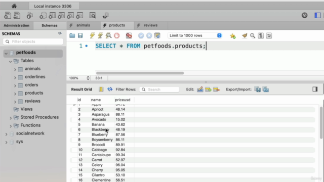 MySQL For Beginners: Real Database Experience Real Fast – Screenshot 2