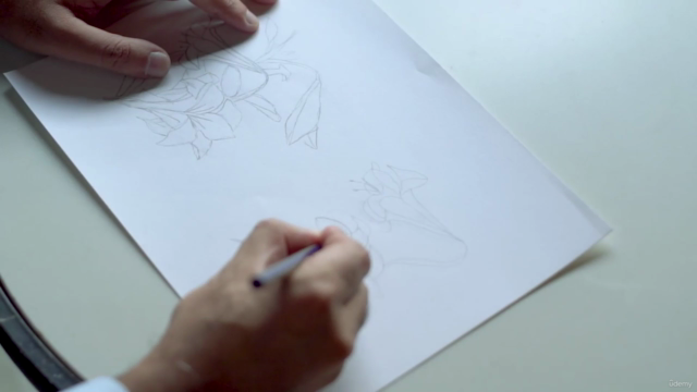 Learn How to Draw in One Hour – Screenshot 1