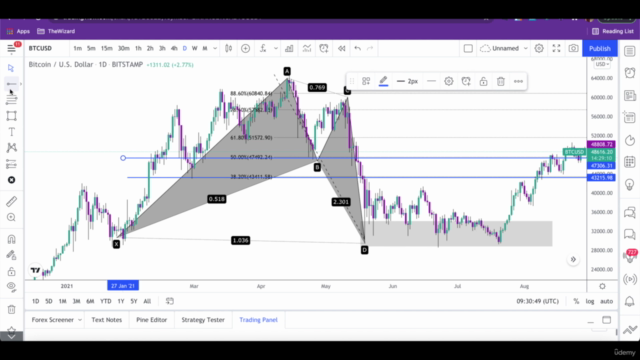 Technical Analysis: Harmonic Chart Patterns & Stock Trading – Screenshot 3