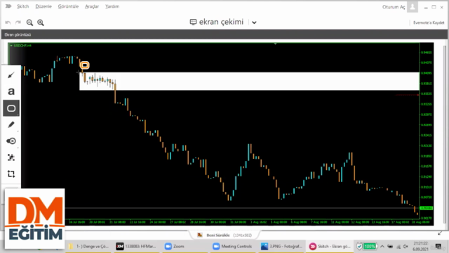 Forex ve Borsa'da Para Kazanma Sanatı – Screenshot 3