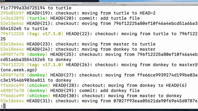【한글자막】 Git & Github 실무 활용 완벽 가이드 – Screenshot 3