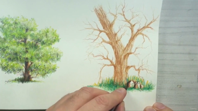 Draw trees in different mediums – Screenshot 2