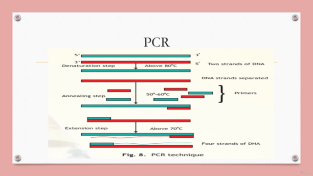 Detailed polymerase chain reaction concepts – Screenshot 2