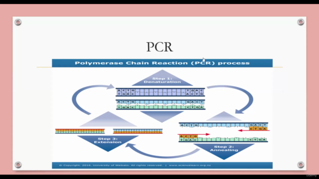 Detailed polymerase chain reaction concepts – Screenshot 3