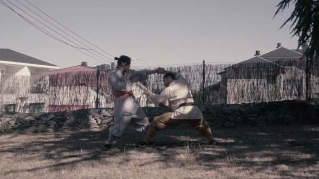 Kung Fu Shaolin: Aprende el Arte del Boxeo Encadenado – Screenshot 2