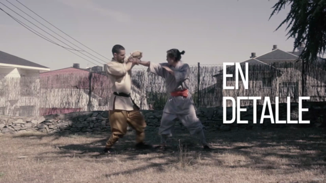 Kung Fu Shaolin: Aprende el Arte del Boxeo Encadenado – Screenshot 3