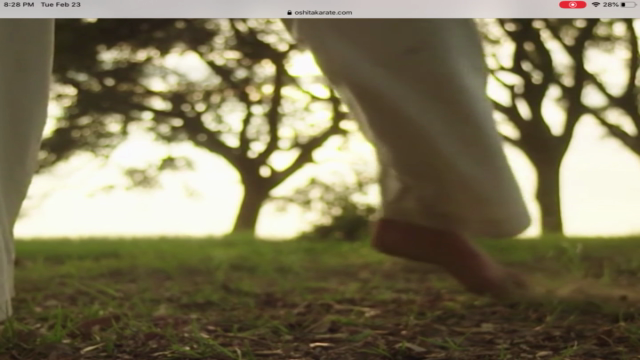 Dissect the Dissection of Isshinryu: Naihanchi Kata Bunkai – Screenshot 3