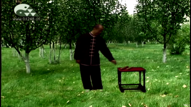 Jiping Tai Chi Cudgel Windling Skill -Taiji Bang Chansi – Screenshot 1