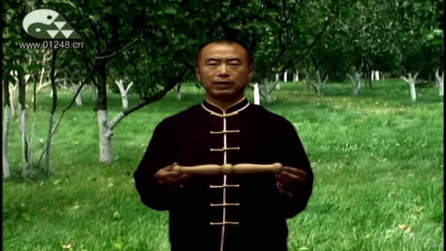 Jiping Tai Chi Cudgel Windling Skill -Taiji Bang Chansi – Screenshot 2