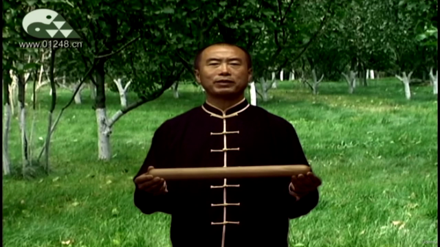 Jiping Tai Chi Cudgel Windling Skill -Taiji Bang Chansi – Screenshot 3