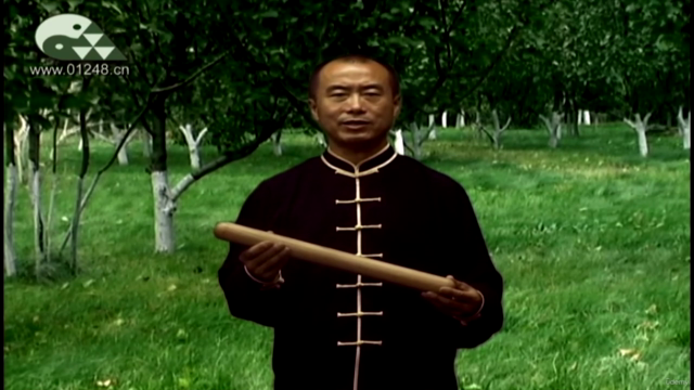 Jiping Tai Chi Cudgel Windling Skill -Taiji Bang Chansi – Screenshot 4