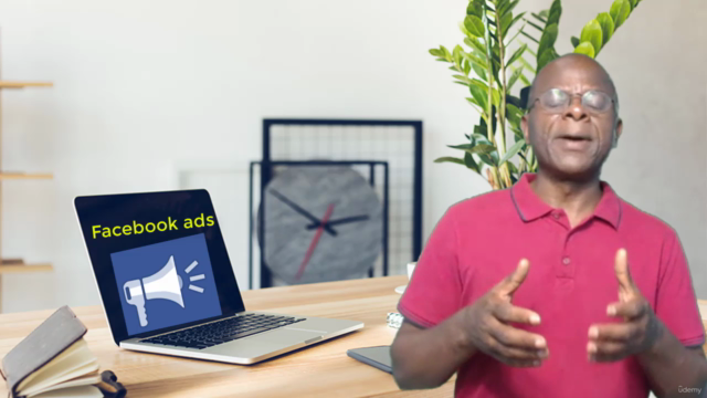 Facebook Ads : Vendre en Masse avec la Publicité – Screenshot 1