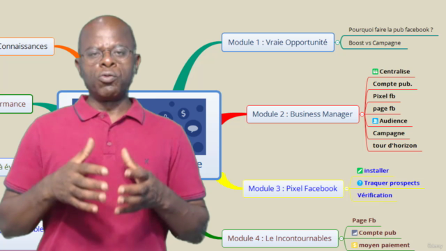 Facebook Ads : Vendre en Masse avec la Publicité – Screenshot 3