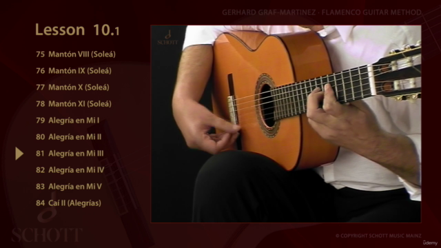 Learn Flamenco Guitar – Screenshot 4