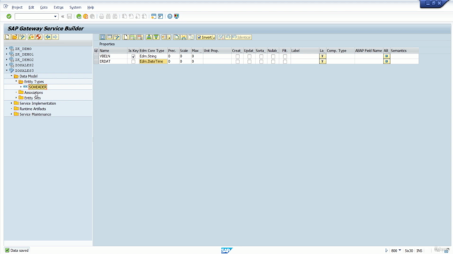 SAP OData services - Rest API and Consume Salesforce API – Screenshot 3