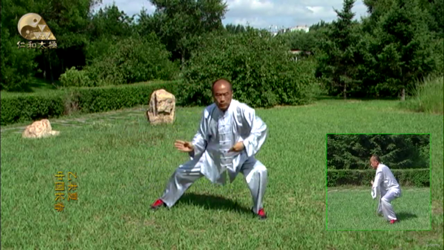 陳式心意混元太極拳48式攻防拆解Chen Style Hunyuan 48 Forms太极拳四十八拆招解式 – Screenshot 1