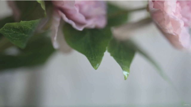 Fotografía Pictórica con flores: Experimenta con el color – Screenshot 1