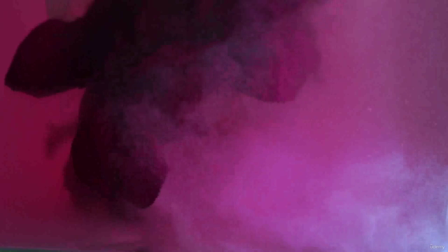 Fotografía Pictórica con flores: Experimenta con el color – Screenshot 2