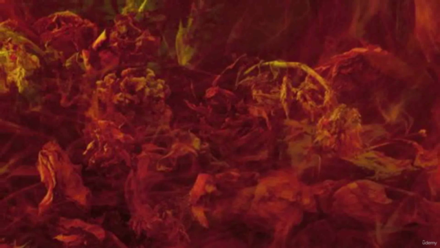 Fotografía Pictórica con flores: Experimenta con el color – Screenshot 3
