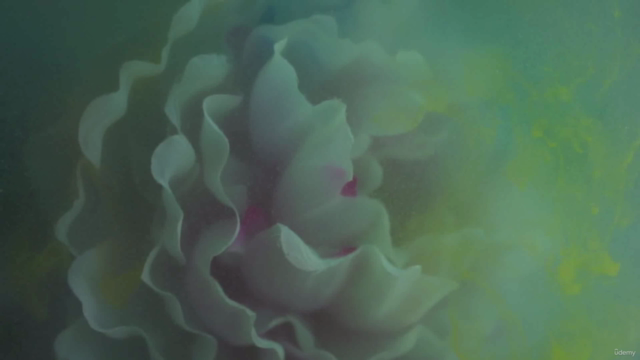 Fotografía Pictórica con flores: Experimenta con el color – Screenshot 4