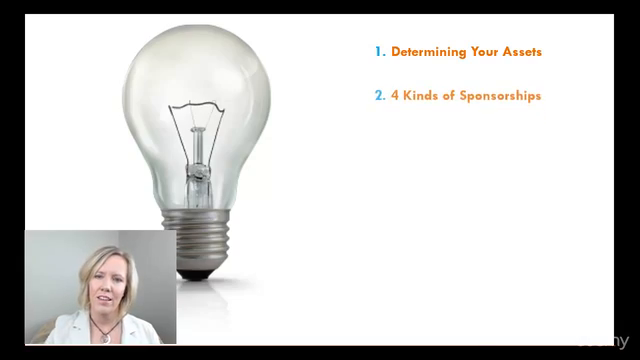 Selling Sponsorships for Meetings, Events & Nonprofits – Screenshot 1