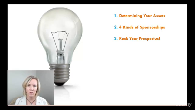Selling Sponsorships for Meetings, Events & Nonprofits – Screenshot 2