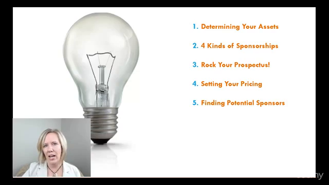 Selling Sponsorships for Meetings, Events & Nonprofits – Screenshot 3