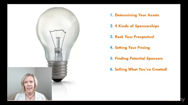 Selling Sponsorships for Meetings, Events & Nonprofits – Screenshot 4