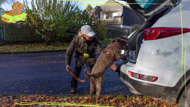 Hundeführerschein und/oder Sachkundenachweis für Hunde – Screenshot 3