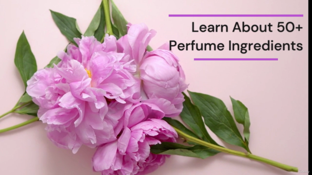 The Ultimate Online Perfume Course 2025 – Screenshot 3