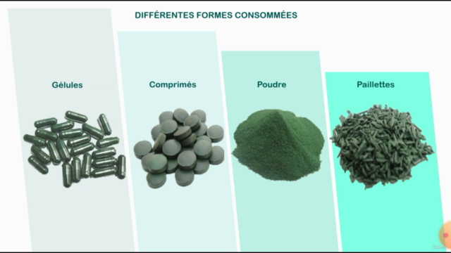 Formation dans la culture et la production de la spiruline – Screenshot 2
