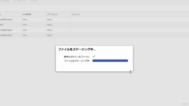 ゼロから始める「Snowflake」最速入門コース – Screenshot 4