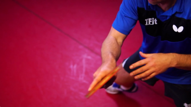 Table Tennis Masterclass – Screenshot 1