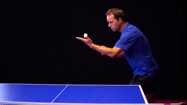 Table Tennis Masterclass – Screenshot 2