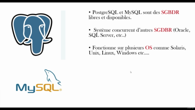 Le Pack ULTIME sur les bases de données (22 cours en 1) 47h – Screenshot 3