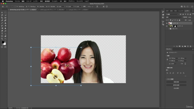 ゼロから始める本気の動画制作 どんなソフトが必要で何が出来るかを知る – Screenshot 2