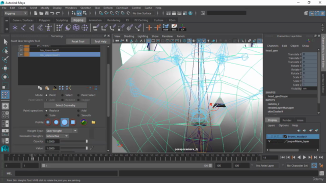 The Complete 2024 Guide to 3D Facial Rigging in Maya – Screenshot 2