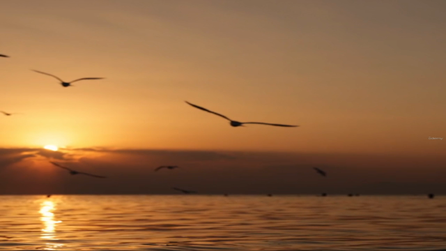 How to practice mindfulness daily. – Screenshot 4