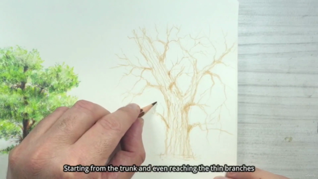 رسم شجرة بدون اوراق بألوان الخشب - English Subtitled – Screenshot 3